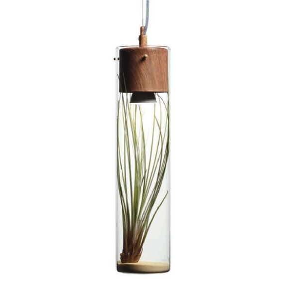 Пендел POTHOS V110TR Aca Lighting 1xGU10 | Osvetlenieto.bg Пендел POTHOS V110TR Aca Lighting 1xGU10 | Osvetlenieto.bg
