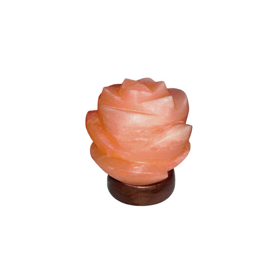 Настолна солна лампа 2676 Flores Rabalux 15W E14 | Osvetlenieto.bg