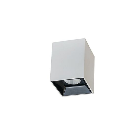 LED Луна за открит монтаж ZAMBELIS S068 CEILING LIGHT LAMP COLOR WHITE 10W 3000K | Osvetlenieto.bg