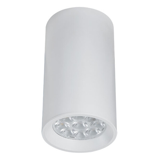Луна за открит монтаж ZAMBELIS S002 ALUMINIUM WHITE 1xGU10 | Osvetlenieto.bg