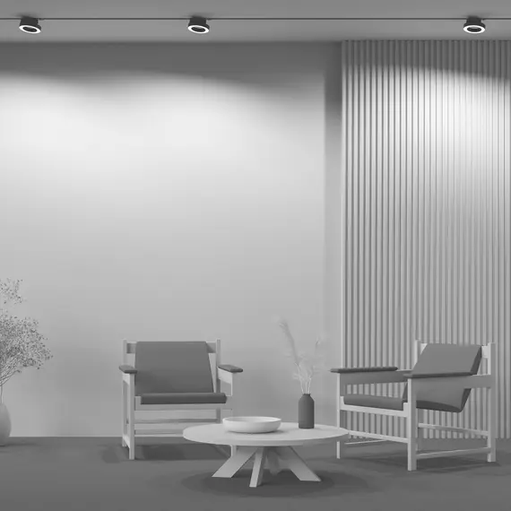 LED Спот за 2L шина Rim TR044-1-12W3K-B Maytoni 12W 3000K | Osvetlenieto.bg