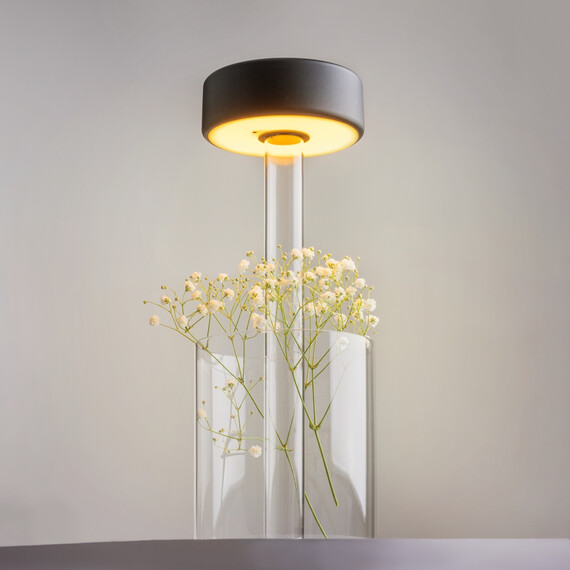 LED Настолна лампа AI Collaboration MOD229TL-L3B3K1 Maytoni 3W 2200K-4000K | Osvetlenieto.bg