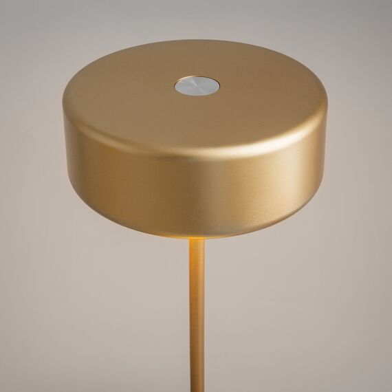 LED Настолна лампа AI Collaboration MOD229TL-L3G3K2 Maytoni 3W 2200K-4000K | Osvetlenieto.bg