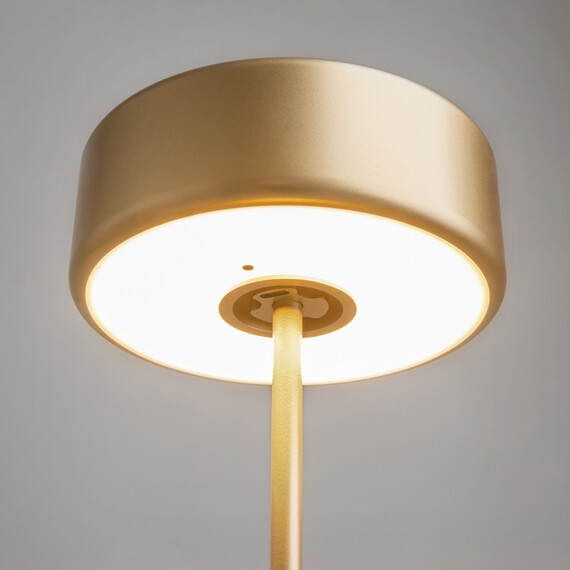 LED Настолна лампа AI Collaboration MOD229TL-L3G3K2 Maytoni 3W 2200K-4000K | Osvetlenieto.bg