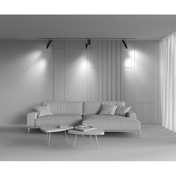 LED Прожектор за магнитна шина Exility-thin TR005-2-2X12W3K-B Maytoni 2x12W 3000K | Osvetlenieto.bg