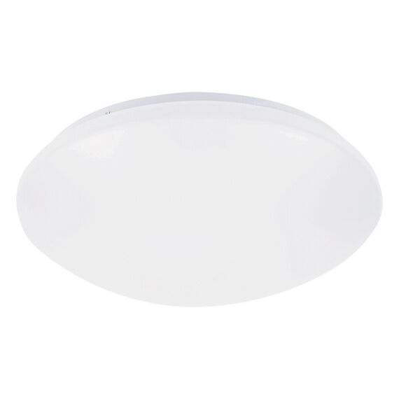 LED Външен плафон LUCAS 71132 Rabalux 12W 4000K | Osvetlenieto.bg