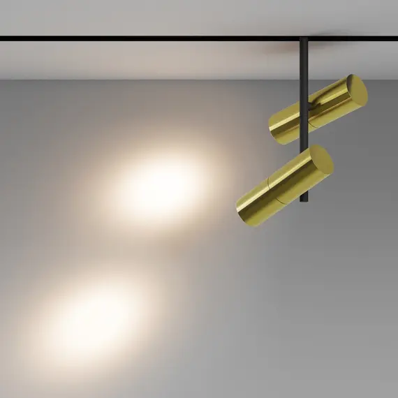 Bluetooth LED Прожектор магнитна шина Exility Elti Duo TR005-4-2X12W-DS-BBS Maytoni 24W 2700-6000K | Osvetlenieto.bg