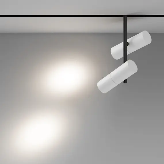 Bluetooth LED Прожектор магнитна шина Exility Elti Duo TR005-4-2X12W-DS-BW Maytoni 24W 2700-6000K | Osvetlenieto.bg