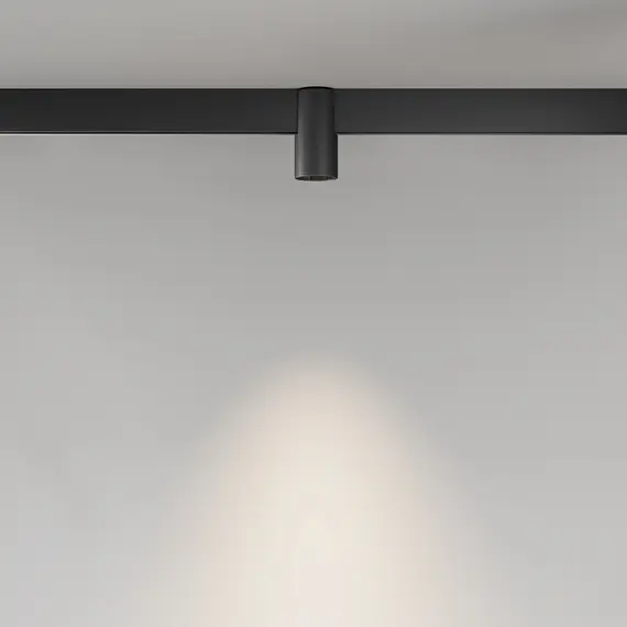 Bluetooth LED Прожектор магнитна шина Exility Alfa TR122-4-7W-DS-B Maytoni 7W 2700K-6000K | Osvetlenieto.bg