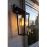 Градински аплик PINE Lutec 1xE27 IP44 5296602012 | Osvetlenieto.bg