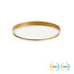 LED Плафон VANESSA 4292801 Viokef 38W CCT 3000K-4000K Triac Dimmable | Osvetlenieto.bg