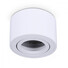 Бяла луна за открит монтаж OH36 Small LED D8 H5 cm | Osvetlenieto.bg