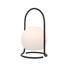 LED Градински фенер EGG ZM20LEDT29 Aca Lighting 1.2W 3000K | Osvetlenieto.bg