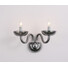 Аплик LUNARIA BLK82182WSGC Aca Lighting 2xE14 | Osvetlenieto.bg
