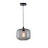 Винтидж полилей ZAMBELIS 14102 PENDANT 1L GLASS SMOKED GREY 1xE27 | Osvetlenieto.bg