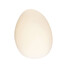 LED Аплик ZAMBELIS 20136 WALL LAMP GLASS & IRON WHITE 5W 3000K | Osvetlenieto.bg