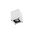 Външен плафон ZAMBELIS E270 CEILING LAMP ALUMINIUM WHITE 1xGU10 | Osvetlenieto.bg