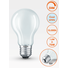 E27 7.8W 4000K Radium LED крушка Filament Матова Димируема 1055lm A60 | Osvetlenieto.bg