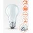 E27 6.5W 2700K Radium LED крушка Filament Матова Димируема 806lm A60 | Osvetlenieto.bg