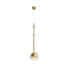 Пендел Ros MOD227PL-01BS Maytoni 1xGU10 | Osvetlenieto.bg