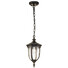 Външна висяща лампа Cleveland 1xE27 Small Weathered Bronze Elstead Lighting CL8-S | Osvetlenieto.bg