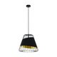 Висяща лампа Austell Eglo Lighting 49509 E27 | Osvetlenieto.bg
