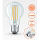 E27 5.9W 2700K Radium LED крушка Filament 806lm A60 | Osvetlenieto.bg